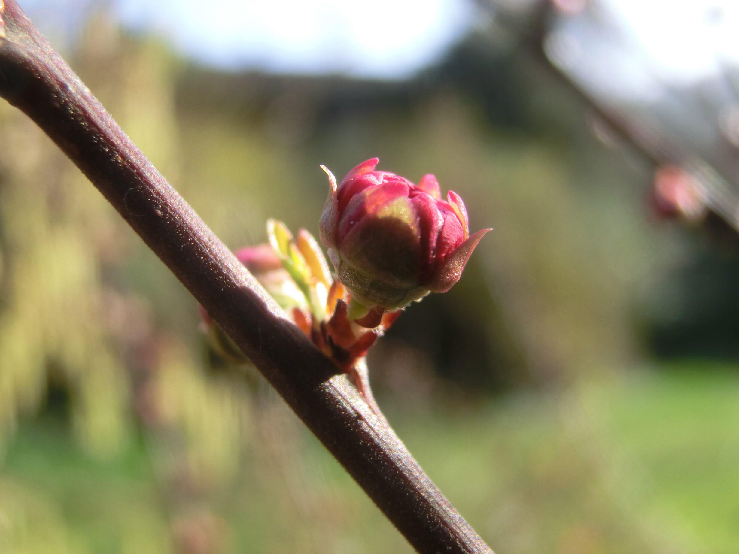 Foto: Dr. Ursula Schell, Frauenseelsorge