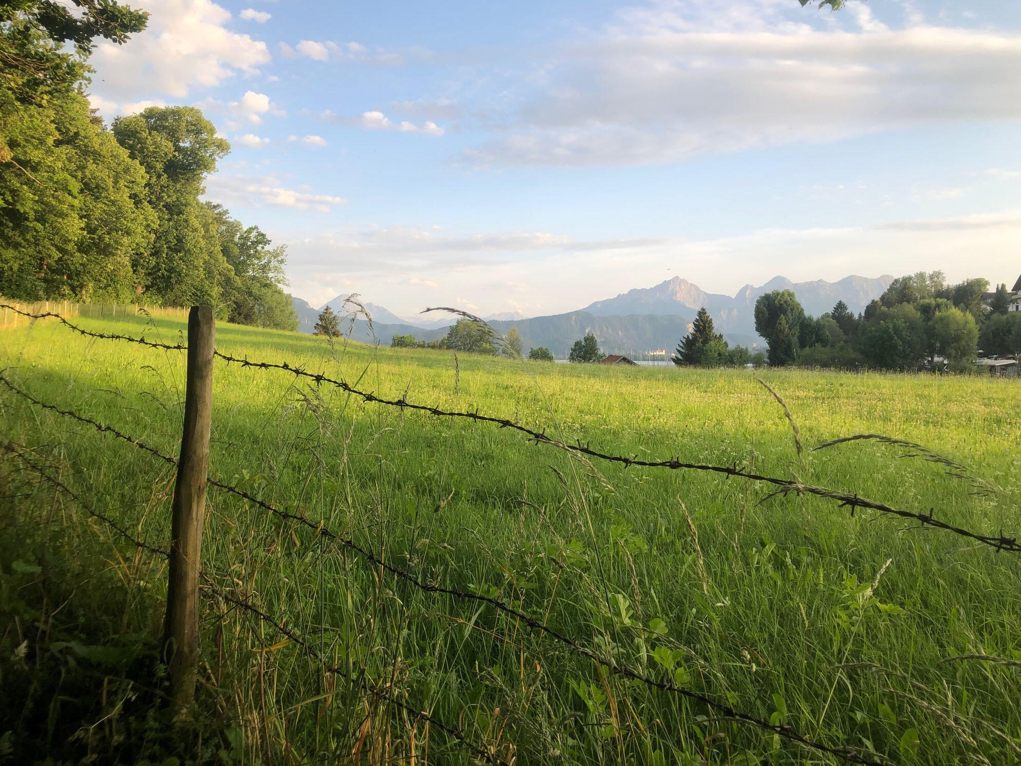 Bei dem Projekt geht es langfristig um die Stärkung der natürlichen Funktionen des Bodens. (Symbolfoto: Stephanie Mahler-Seitz)