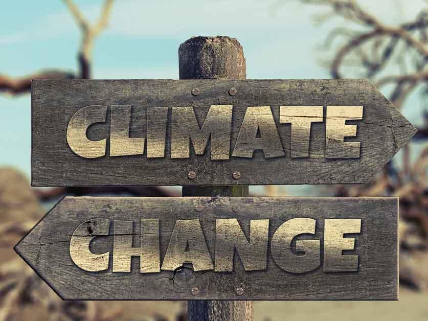 Der „Peoples‘ Climate Vote“ ist die weltweit größte Umfrage zum Klimawandel (Symbolfoto: geralt/pixabay)
