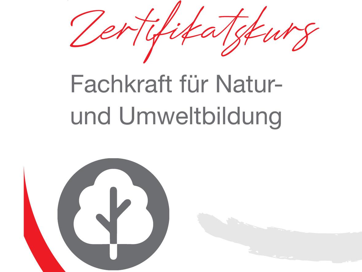 Der Kurs besteht aus zwei Modulen und etlichen frei wählbaren Fachthemen (Grafik: DiCV)