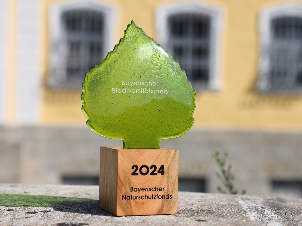 Der Preis wird alle zwei Jahre verliehen. (Foto: © Ralf Rödel)