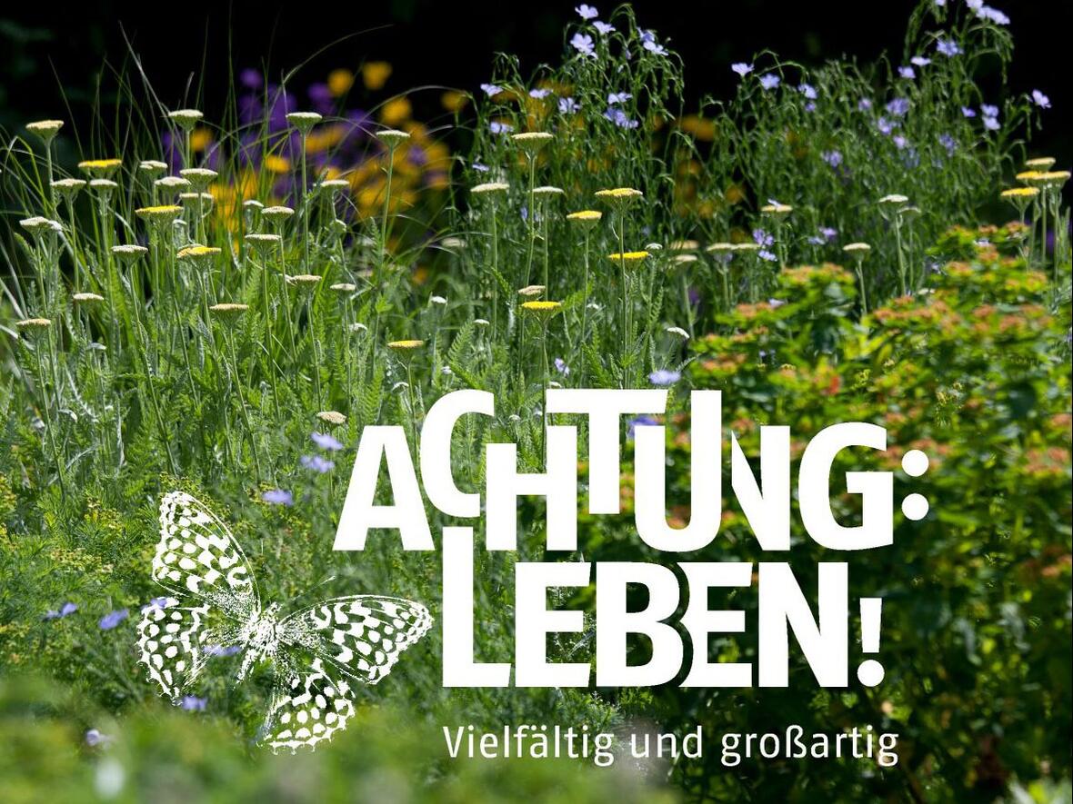 Die Kampagne ermutigt dazu, auch selbst tätig zu werden (Grafik: KLB)