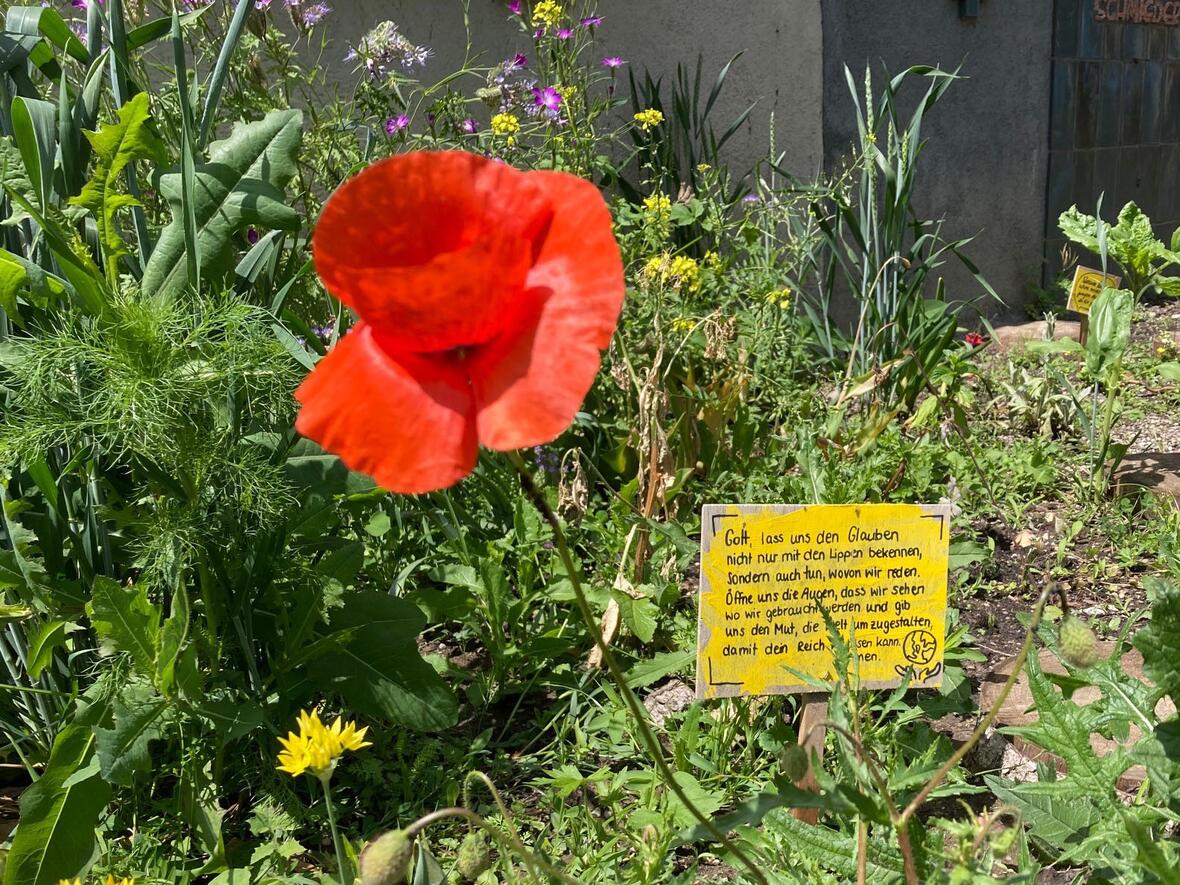 Schulprojekt auf dem Augsburger Hermanfriedhof (Symbolfoto: Karl-Georg Michel)