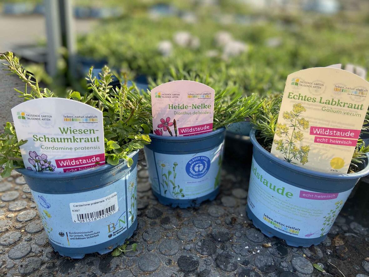 Die Kampagne will die heimische Flora und Fauna stärken (Symbolfoto: Andrea Muno-Lindenau)