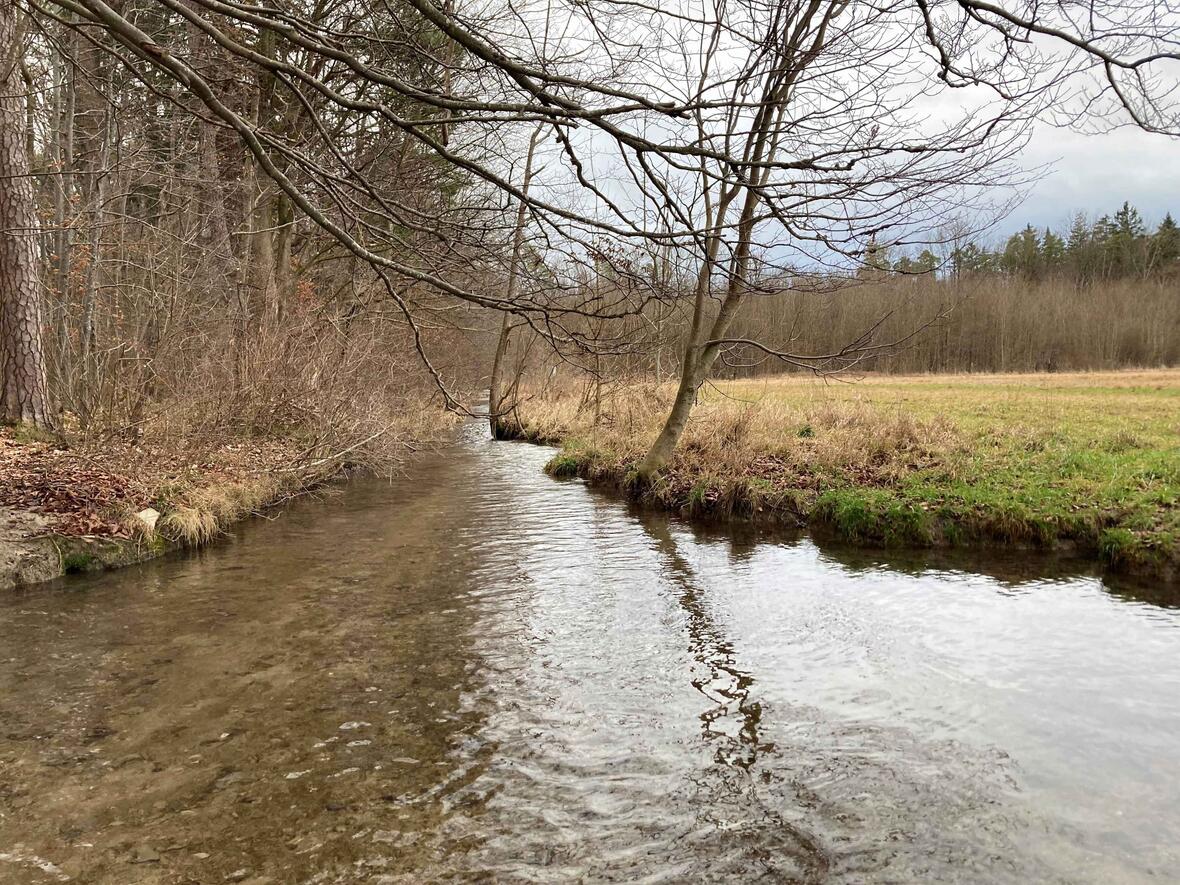 Wollen Sie mithelfen, solche wertvollen Ökosysteme zu erhalten? (Foto: Karl-Georg Michel)