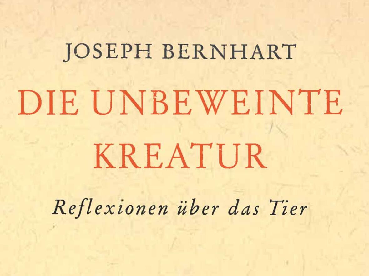 1961 erschienen und noch immer aktuell: „Die unbeweinte Kreatur“ (Grafik: Buchumschlag)