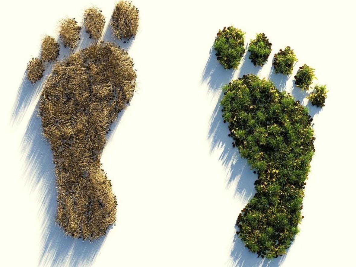 Die Idee für den Fußabdruck stammt aus den 1990er Jahren. (Foto: Coli00B Pixabay) 