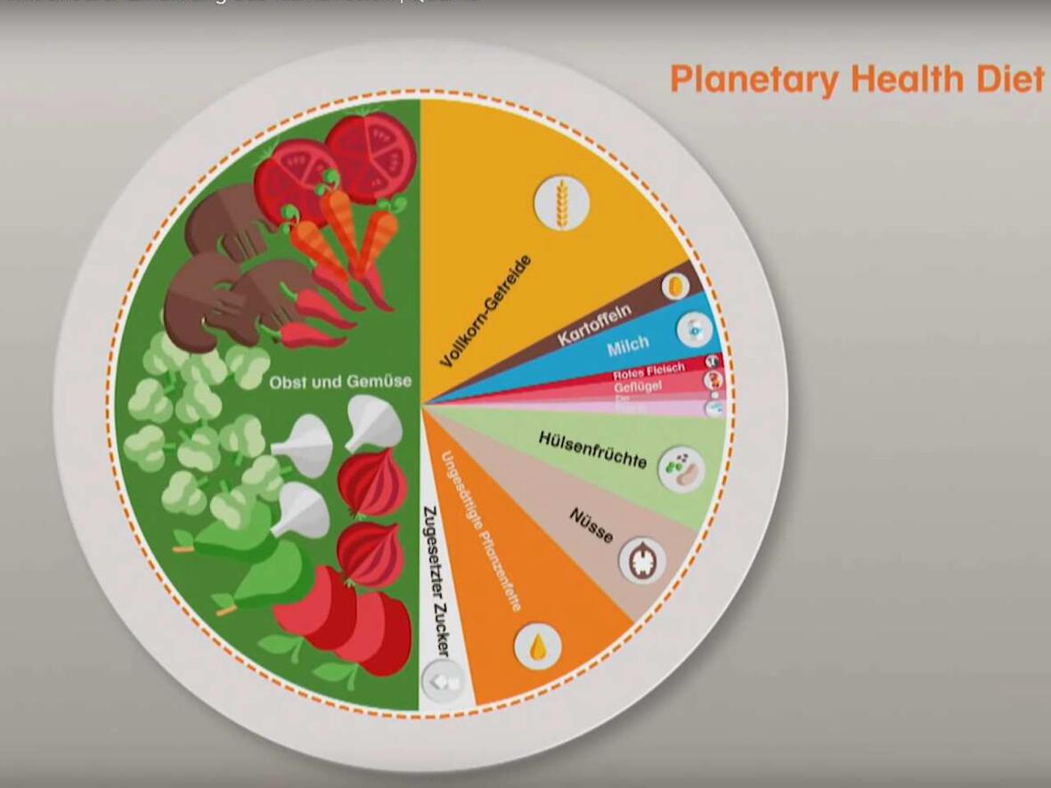 So sieht sie aus, die Planetary Health Diet (Grafik: YouTube)