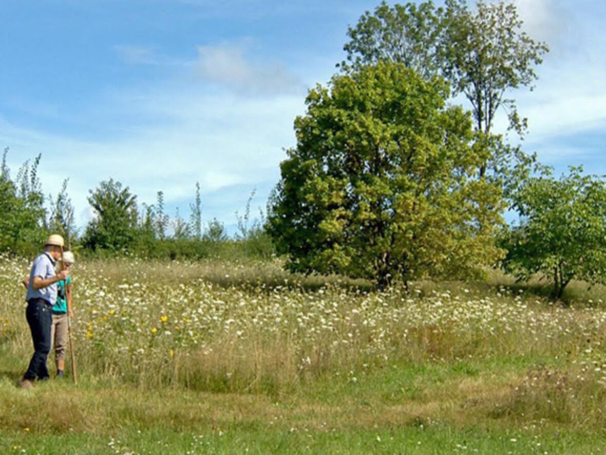 Pfarrwiese Alsmoos eine kleine Arche Noah