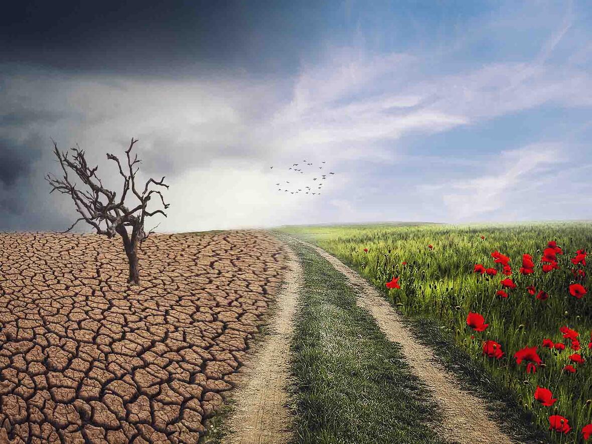 Glaube Veränderungen sind notwendig, und dabei kommt es auf jeden an (Foto: pixabay)