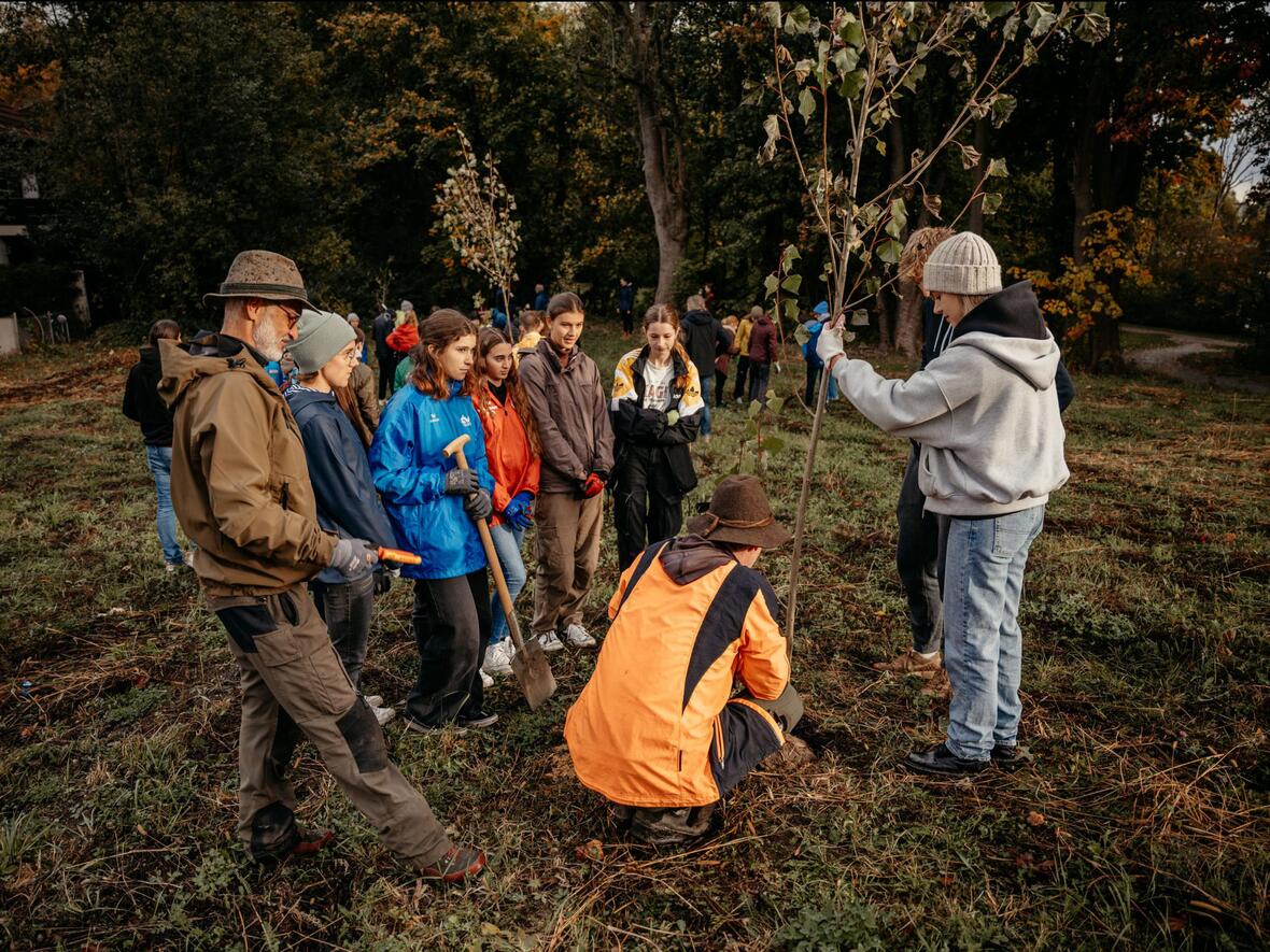 Schülerinnen und Schüler des Gymnasiums Maria Stern beim Pflanzen der ersten Bäume (Foto: Anna Singer/Schulwerk) 