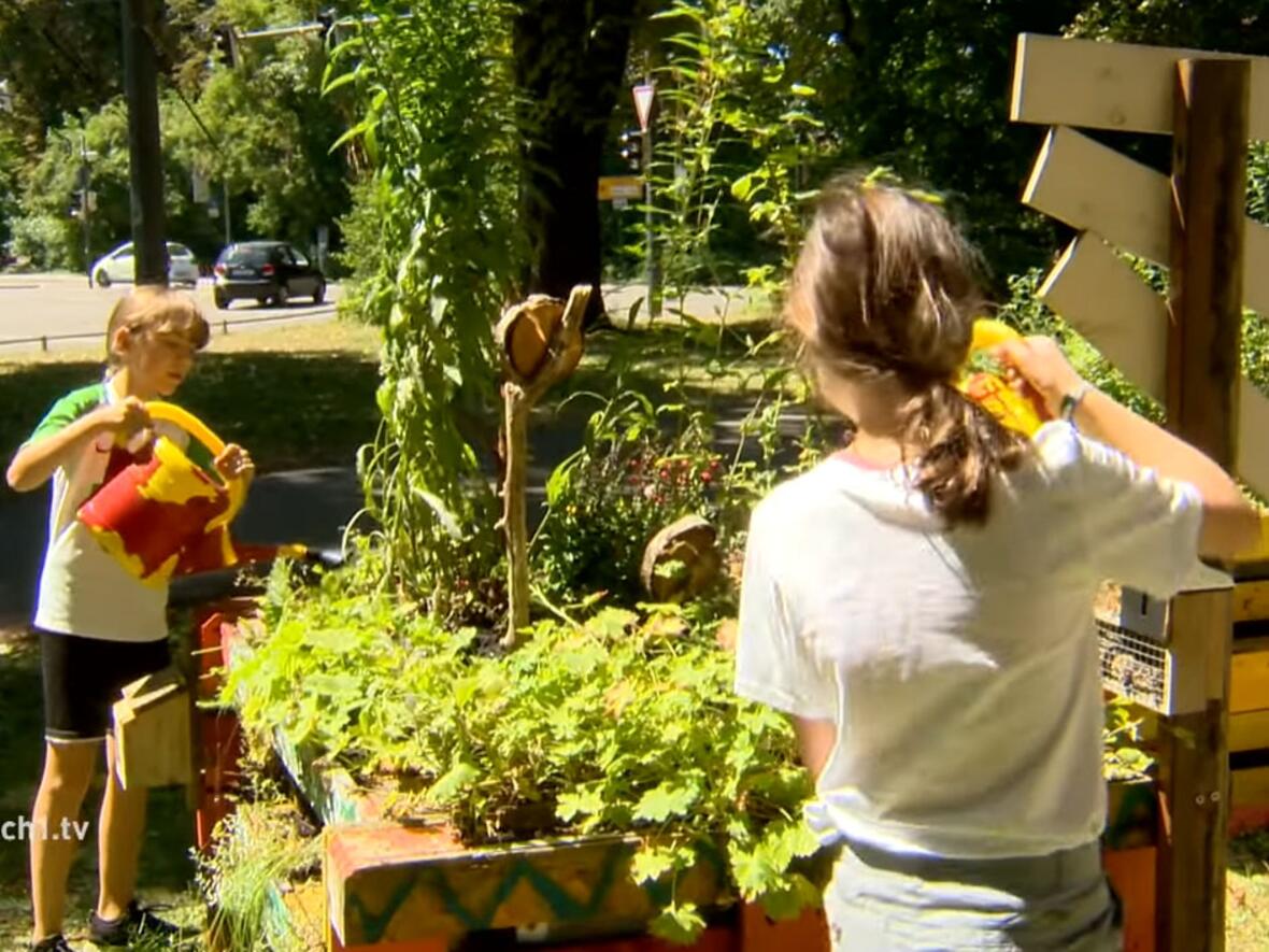 Der Stadtgarten wurde von den Schülerinnen in den vergangenen Jahren am Augsburger Vogeltor angelegt. (Foto: katholisch1.tv) 