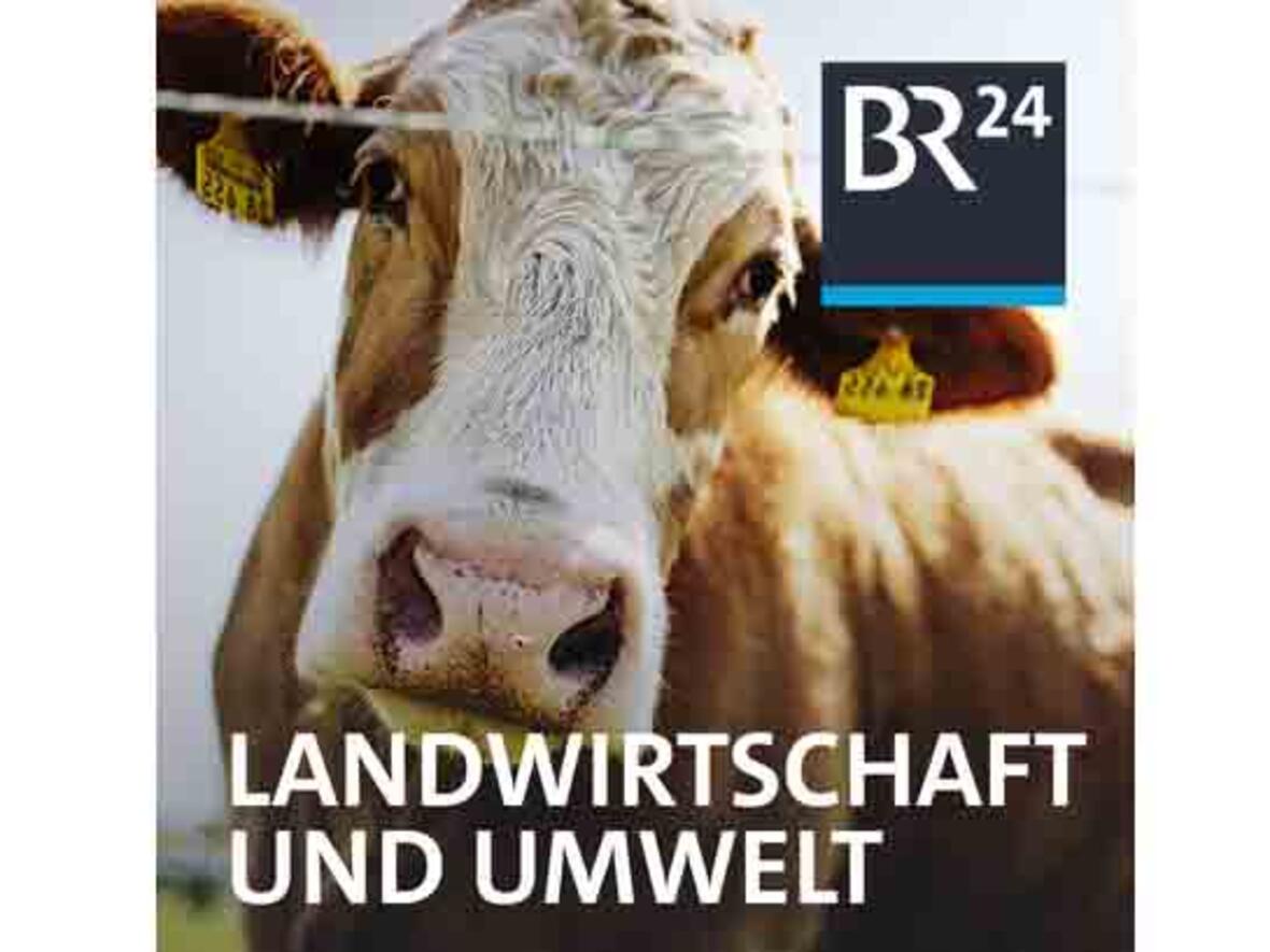 Der Podcast „Landwirtschaft und Umwelt“ greift Woche für Woche spannende Themen auf. (Bild/Grafik: BR)