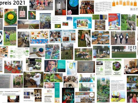 Beim Schöpfungspreis 2021 gab es über 51 Bewerbungen (Collage: Stephanie Mahler-Seitz)