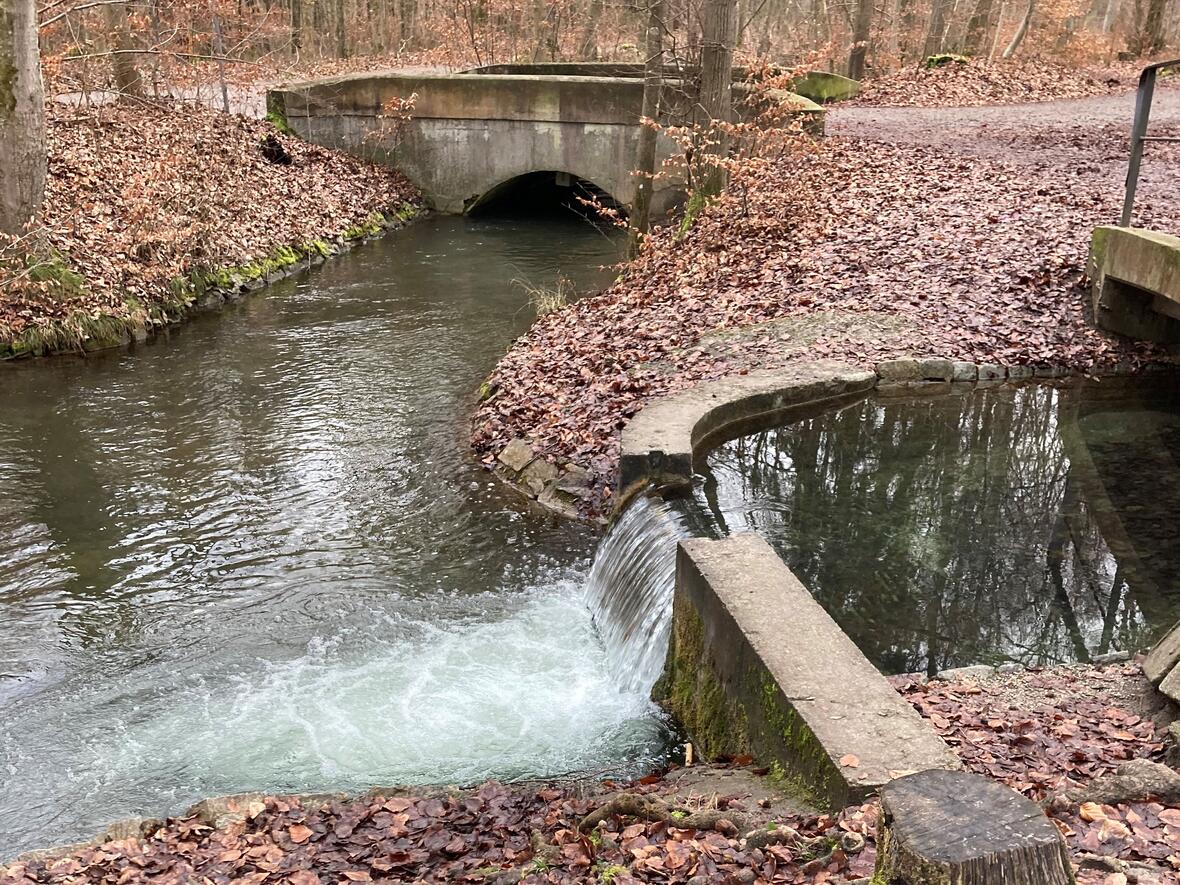 Kleiner Wasserfall im Augsburger Stadtwald (Foto: Karl-Georg Michel)