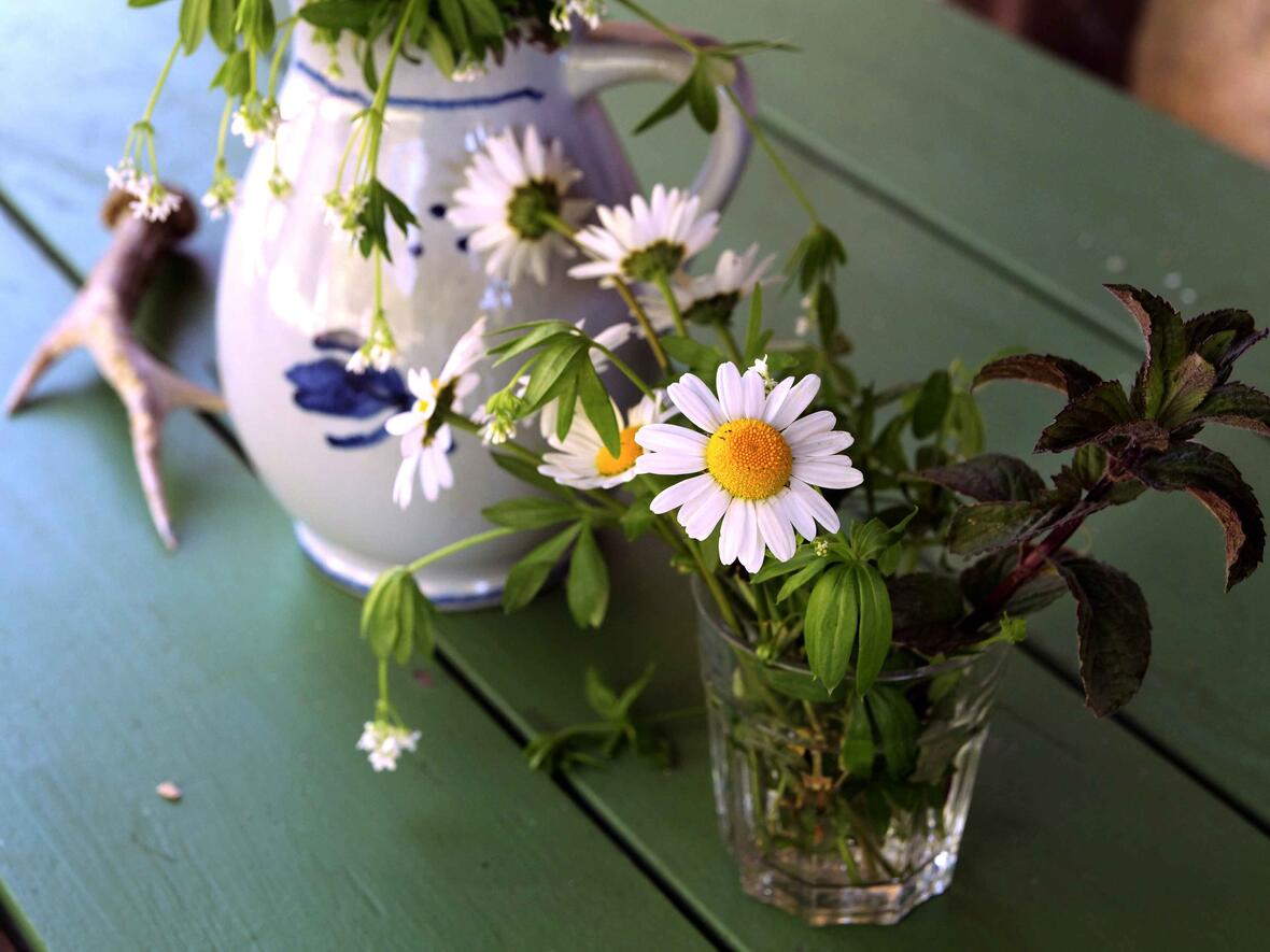 Blumen erfreuen - sind diese nachhaltig umso mehr. (Foto: Peter Weidemann in Pfarrbriefservice)