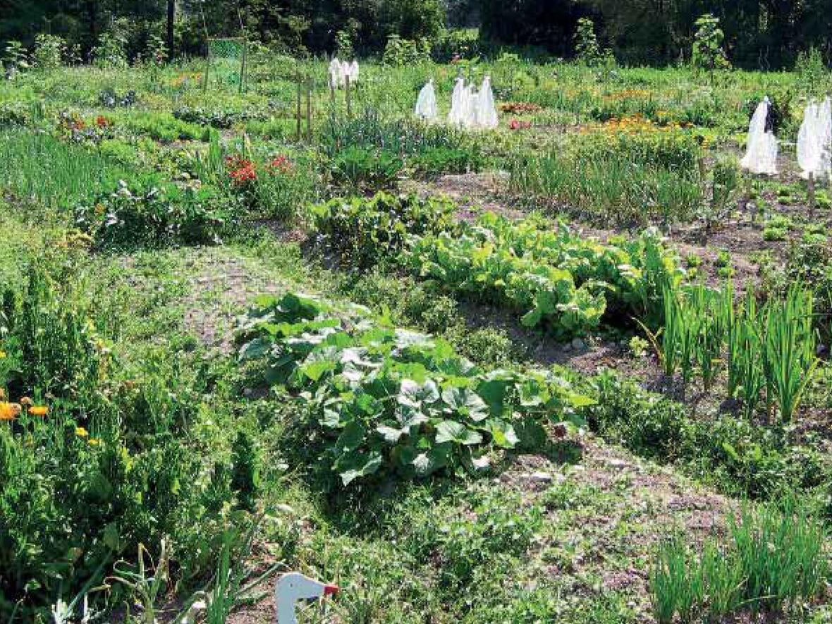 Eigenes Gemüse oder Pflanzen zu züchten geht einfach mit dem Projekt "Sonnenäcker". (Foto: UNSER LAND))