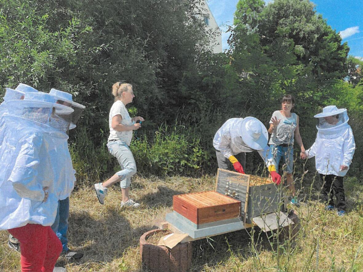 Alles über Bienen erfährt man beim Umweltbildungsprojekt der Offenen Hilfen. (Foto: Offene Hilfen Pfaffenhofen)