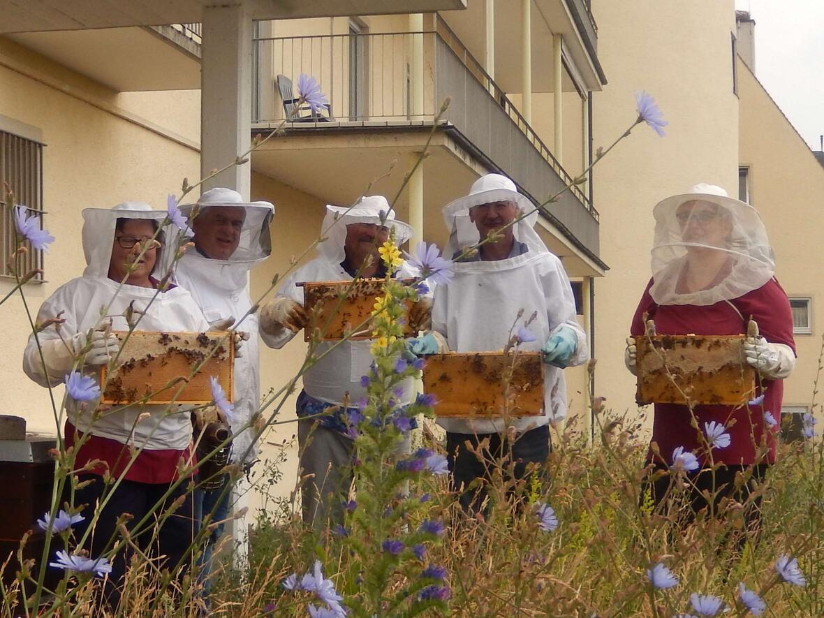 Unter dem Motto "Natur und wir" steht das Bienenprojekt. (Foto: Elisabethenstiftung Lauingen)