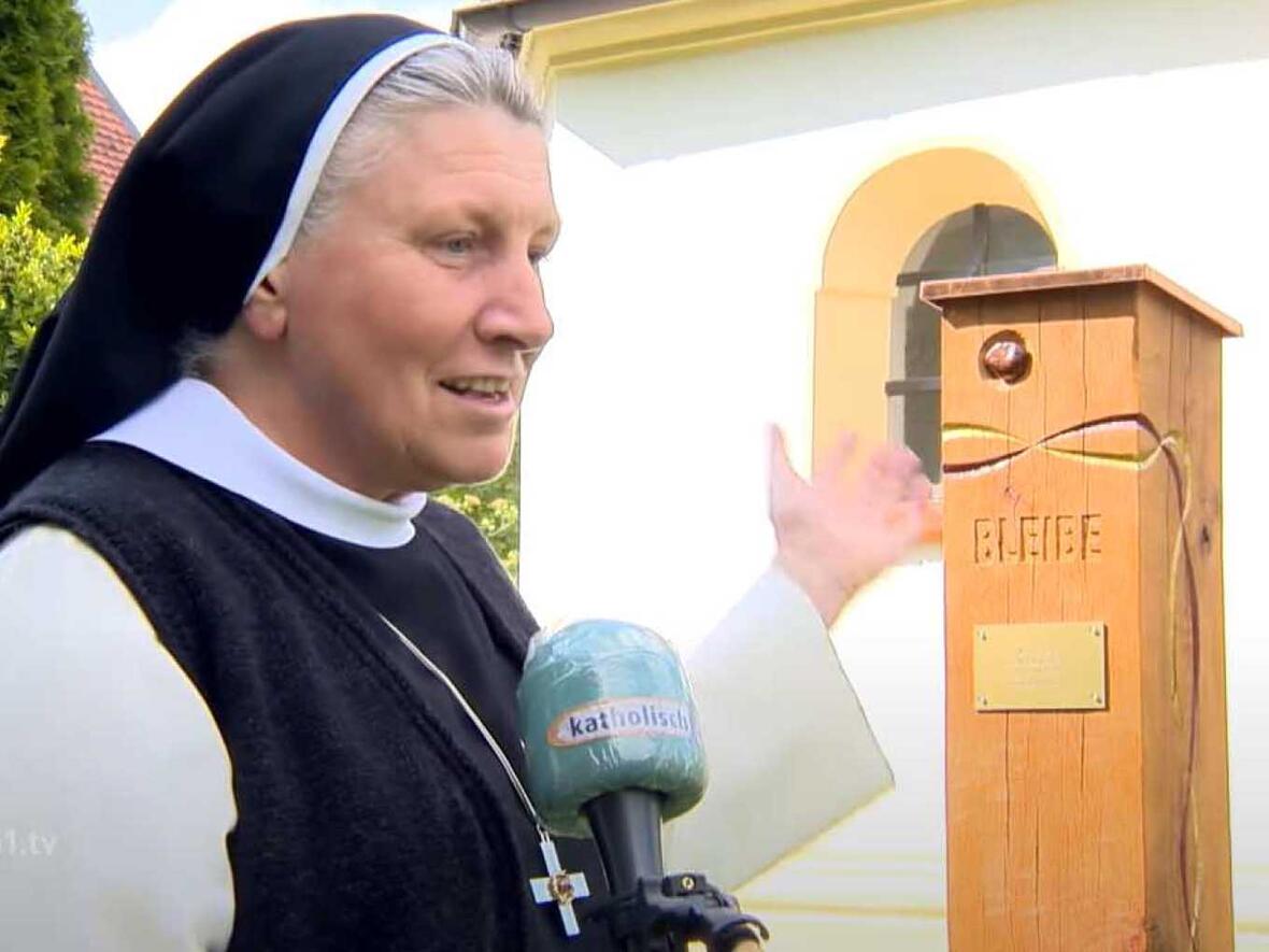 Auf der Route gibt es zwölf Stelen aus Eiche (Foto: katholisch1.tv)