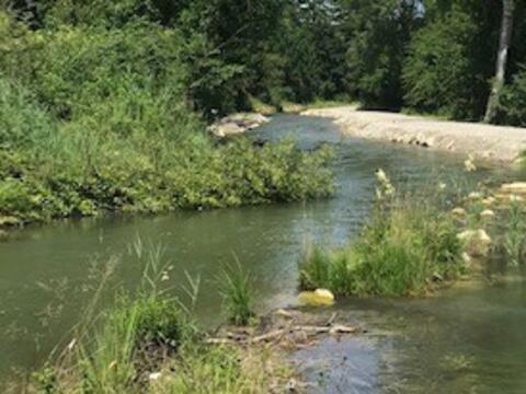 Es gibt viele Wege zum lebenspendenden Wasser. (Symbolfoto: Karl-Georg Michel)