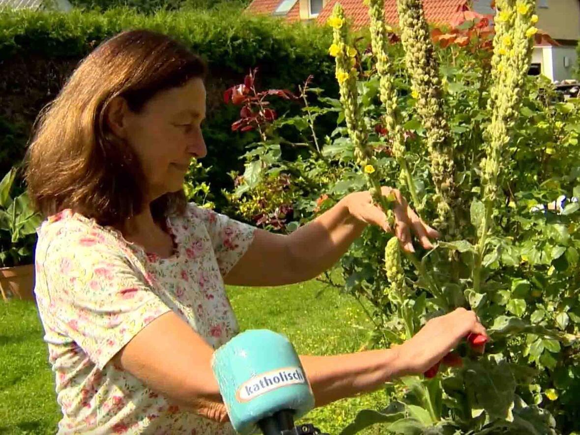 Ernestine Verdura kennt sich gut aus mit der Heilkraft von Kräutern (Foto: katholisch1.tv)