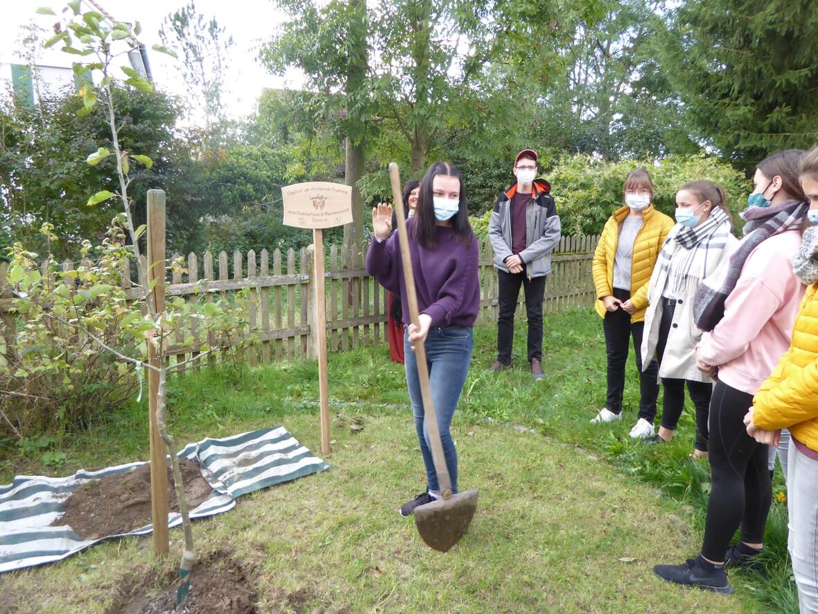 Zum Abschluss der Projekttage pflanzen die Ministranten einen Apfelbaum. Aber damit ist es noch lange nicht vorbei. (Foto: Claudia Possi)