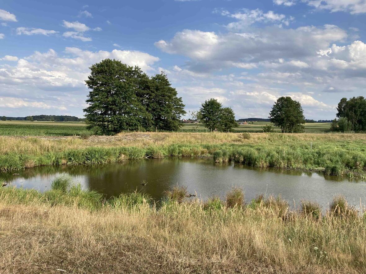 Passend zum Moor war auch das Wetter: nass-kalt (Foto: Stefan Janda)