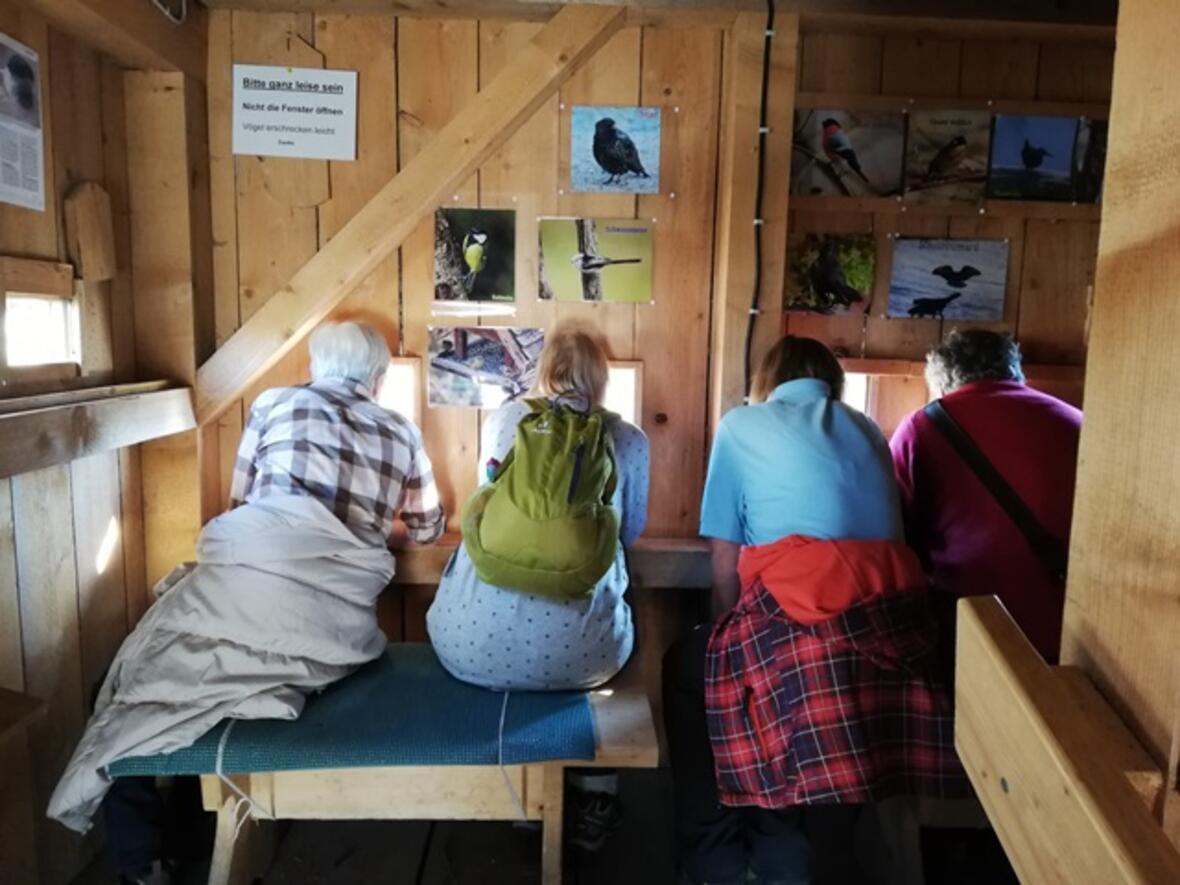 Wo der Boden gesund ist, da kommen auch seltene Vogelarten wieder zurück. In einer Vogelbeobachtungsstation