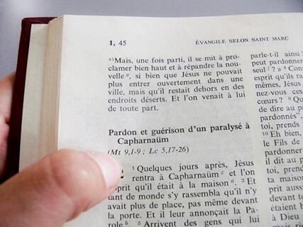 fit-fuer-den-lektorendienst2358518