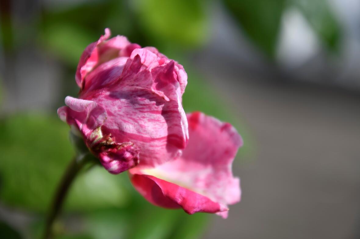 lebensende-sterben-und-tod-zur-sprache-bringen-was-gut-tut-und-was-nicht-oekumenischer-gespraechsabend3933976