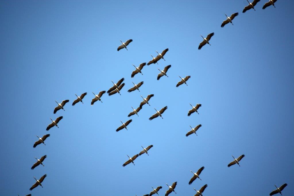 miteinander-glauben-teilen-online-mit-diakon-juergen-zapf-4-april-und-9-mai-entfallen4191796