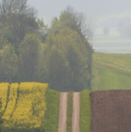 in-der-trauer-nicht-allein-segnungsgottesdienst-fuer-trauernde4326190