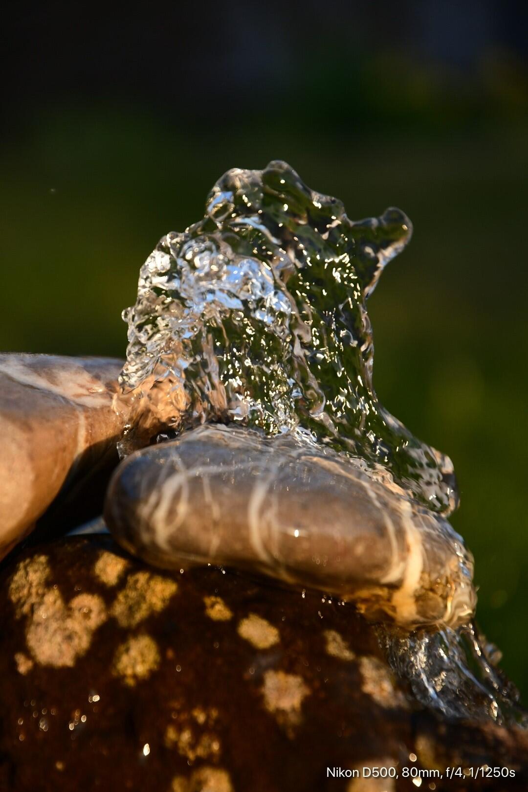 vergesst-mir-die-seele-nicht-s-kneipp4755238