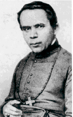 johannes-nepomuk-neumann1356136