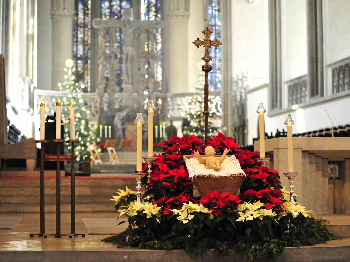 Christbäume und Krippe im Augsburger Dom. (Foto: Nicolas Schnall / pba)