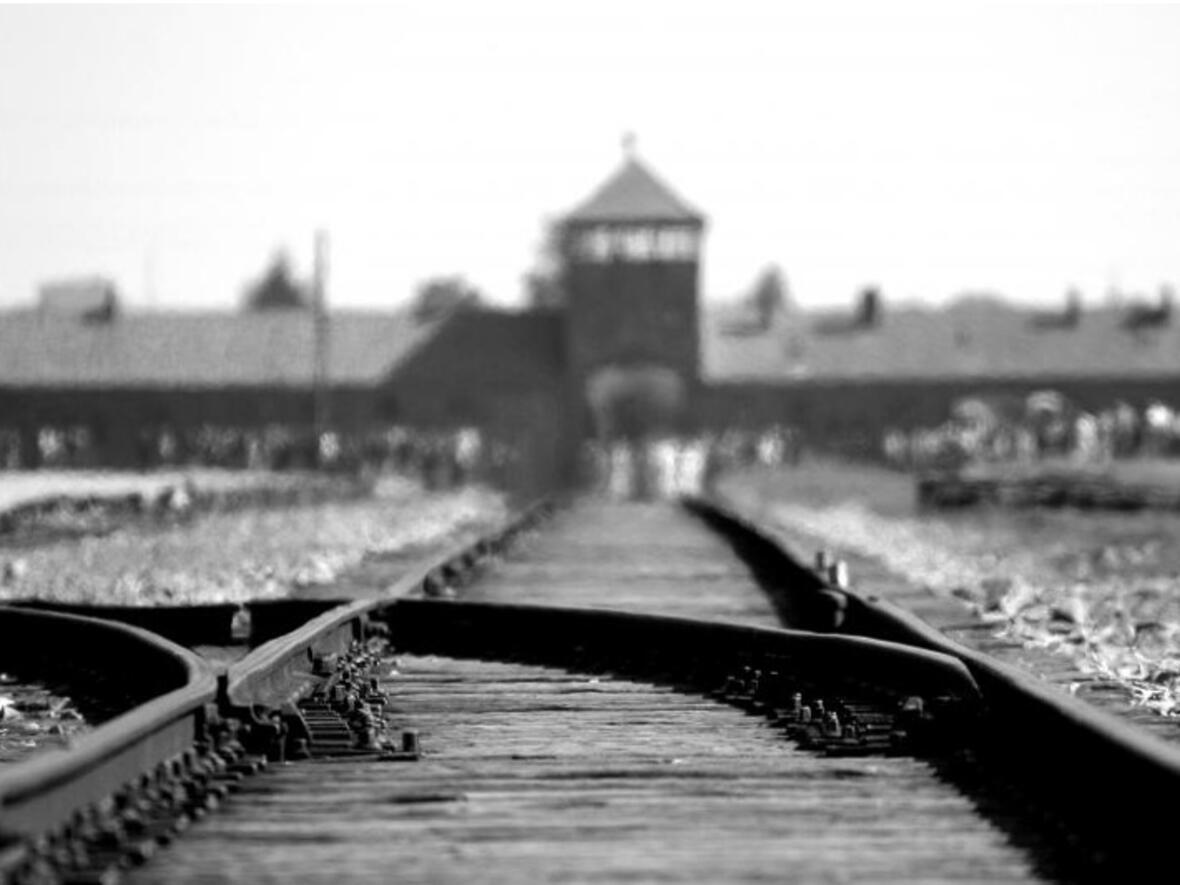 Eisenbahnschienen, die zum Vernichtungslager Auschwitz-Birkenau führen. (Foto: pixabay.com)
