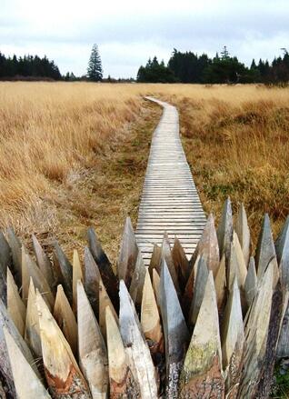 Foto: Jürgen Damen, in: Pfarrbriefservice.de