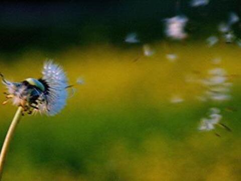 Foto: Doris und Michael Will / pfarrbriefservice.de