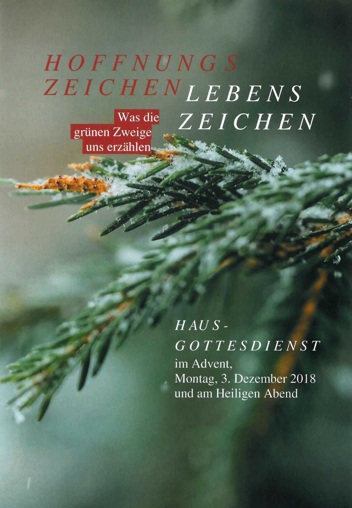 hausgottesdienste-im-advent-und-an-weihnachten-broschuere-mit-texten-liedvorschlaegen-und-gebeten3122793