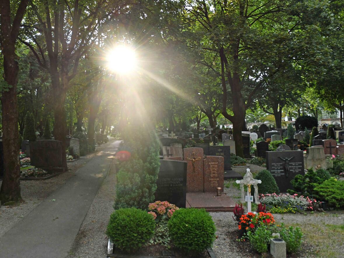 Motivbild: Hermanfriedhof in Augsburg. (Foto: Nicolas Schnall / pba)