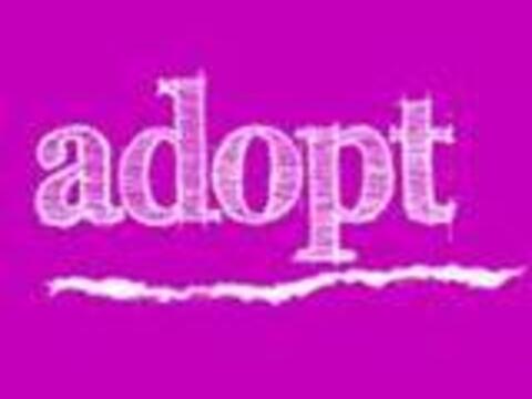 adopt-a-bishop-gebetsaktion-zur-familiensynode1570594