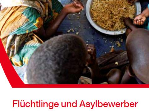 fluechtlinge-und-asylbewerber-bistum-augsburg-und-caritas-veroeffentlichen-gemeinsame-handreichung1420293