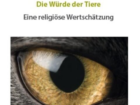 dioezesaner-schoepfungstag-ueber-die-wuerde-der-tiere-eine-religioese-wertschaetzung1339558