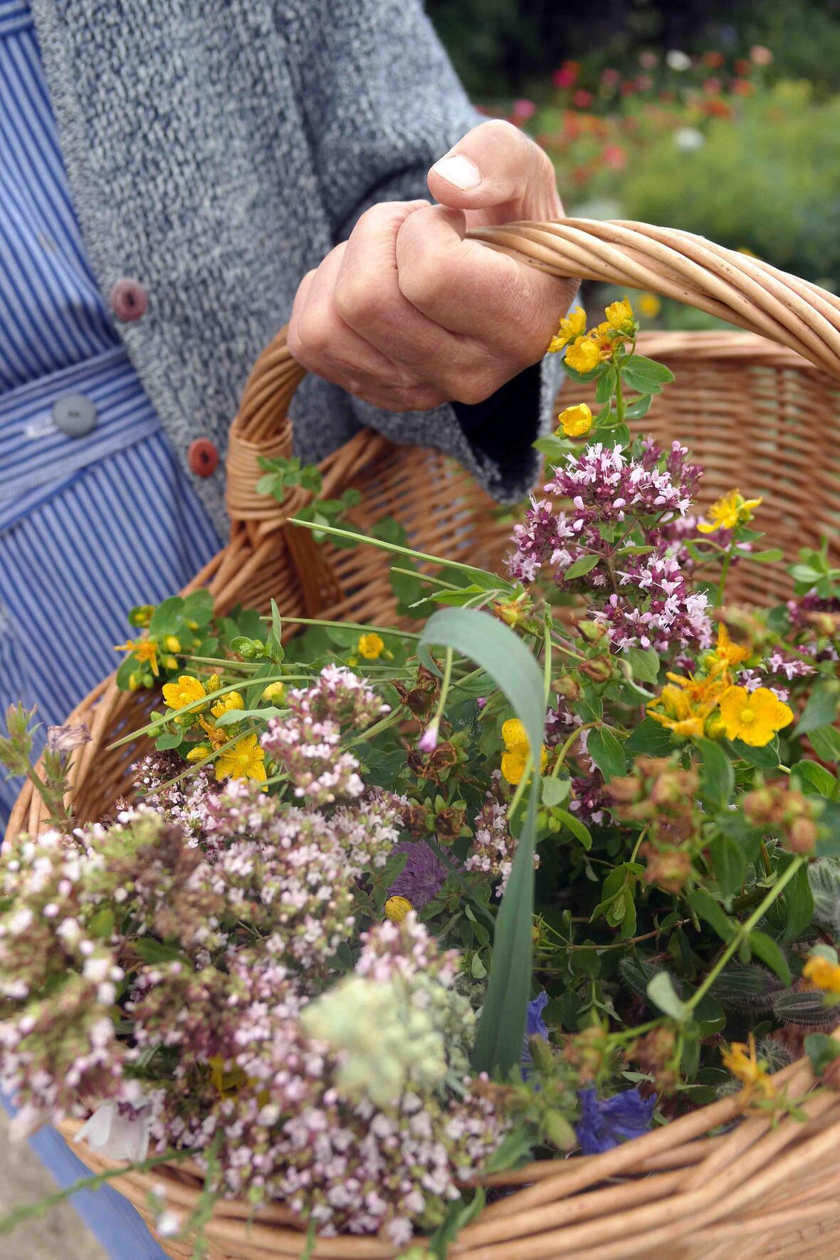 Foto: Maria Steber / pba.