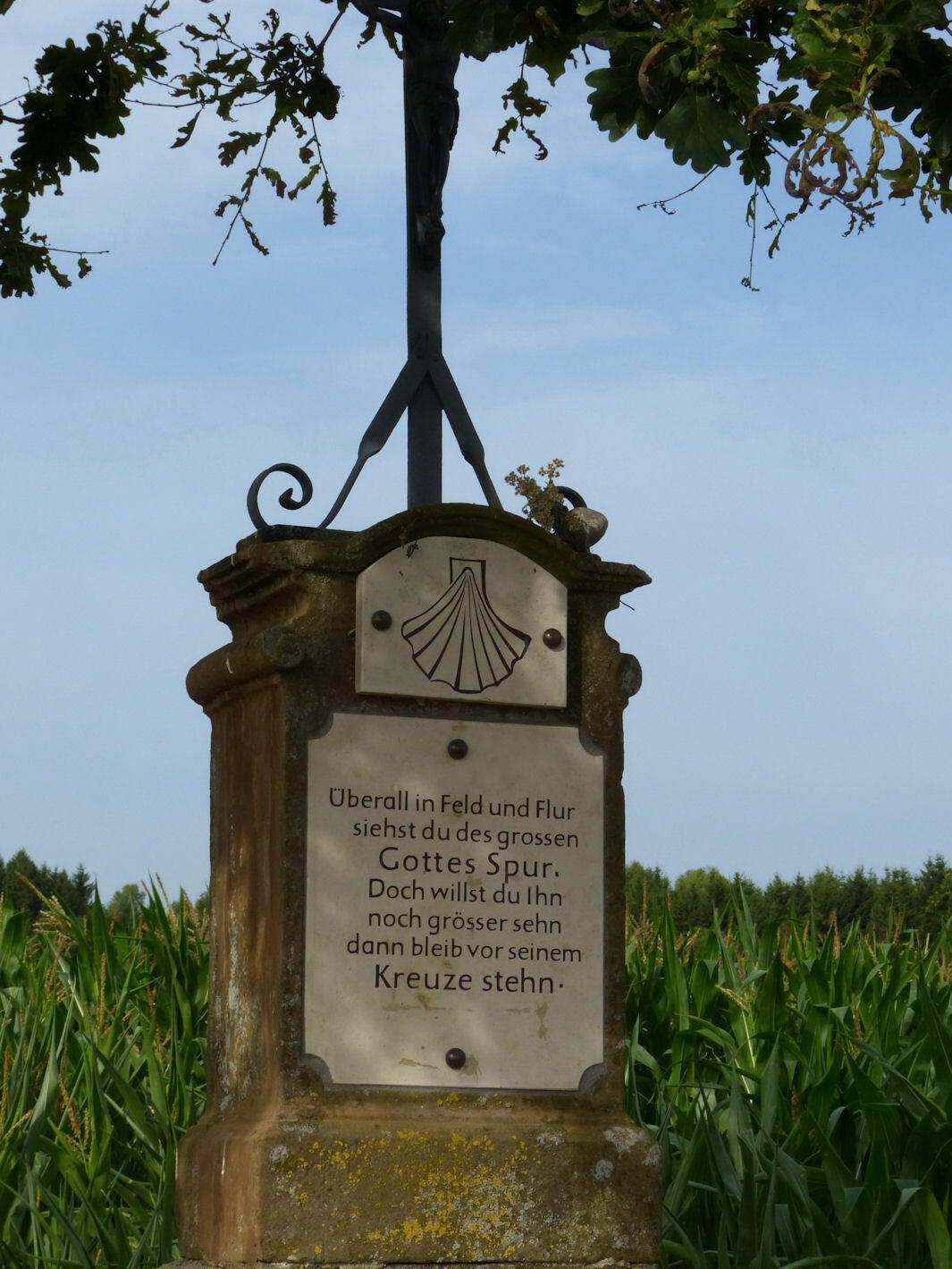 sportlerwallfahrt-zur-klosterkirche-andechs1156590