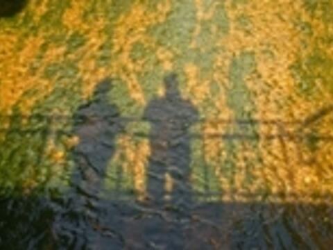 getrennt-aber-nicht-halbiert-seminar-fuer-frauen-und-maenner-in-trennungssituationen-neues-jahresprogramm1026442