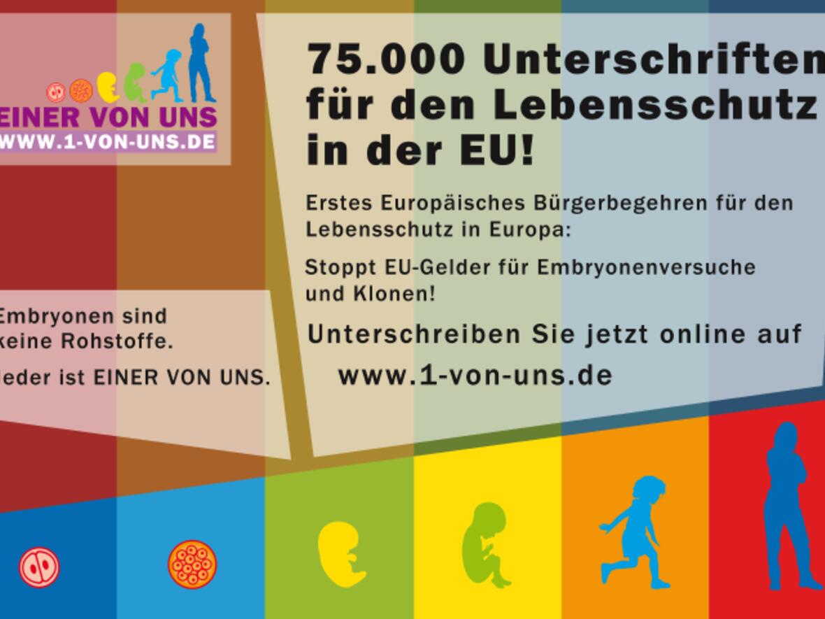 bischoefe-unterstuetzen-europaeische-lebensschutz-initiative-einer-von-uns977696
