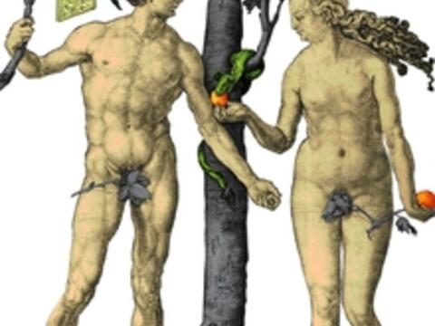 am-sonntag-schliesst-die-duerer-sonderausstellung888565