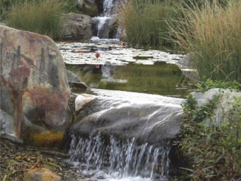 suche-gott-finde-dich-meditations-und-besinnungstag-fuer-maenner-am-10-dezember-2011607473
